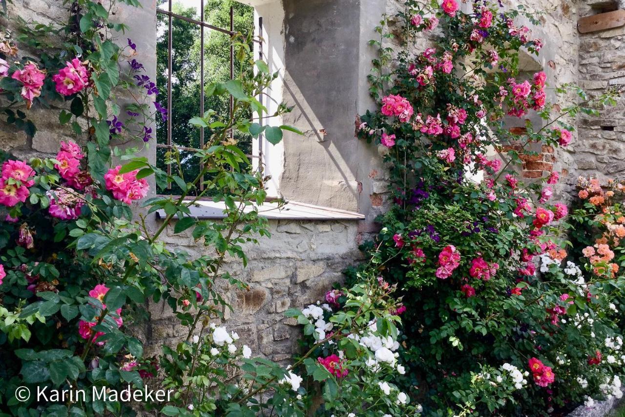 Design Ferienwohnung Mit Bauerngarten Waldkirchen Luaran gambar