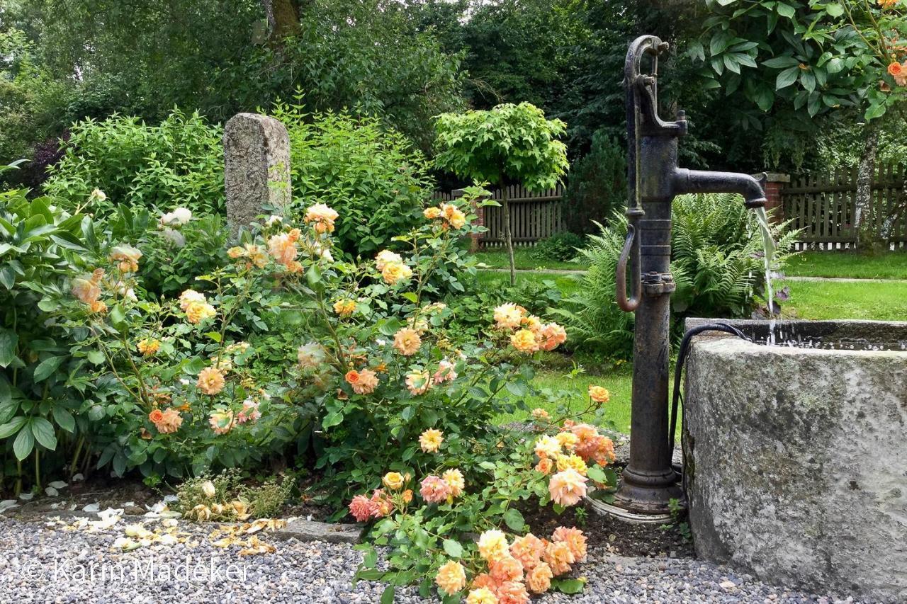 Design Ferienwohnung Mit Bauerngarten Waldkirchen Luaran gambar